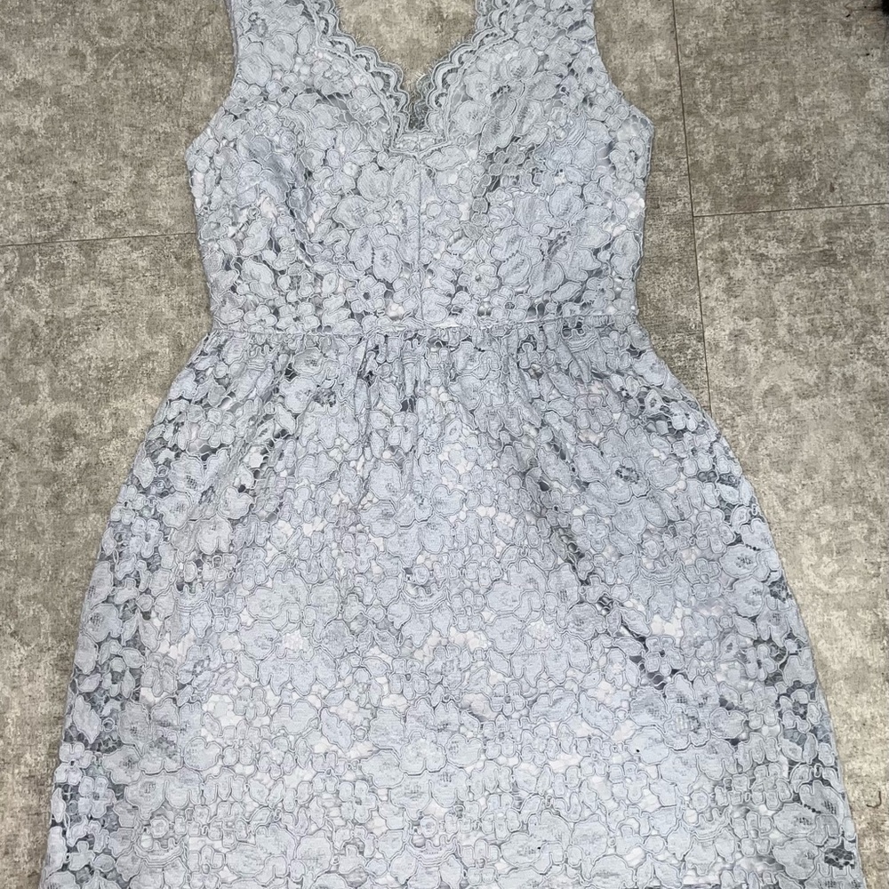ERIN by Erin Fetherston Light Gray Lace Midi Dress